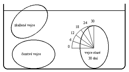 Jitka Brockmeyerov-Fenclov, Zdenk Drozd: Pokusy s vejci - Obr. 1: St vejce poznme podle jeho polohy ve vod