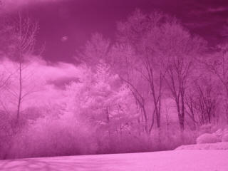 IR filtr 830 nm