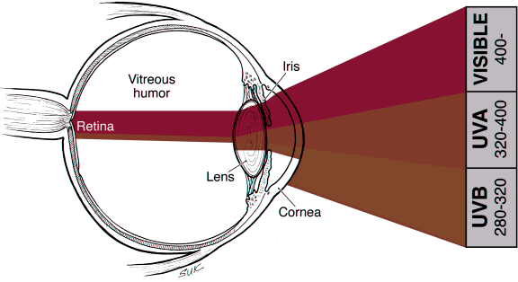 http://www.gcrio.org/UNEP1998/Image34.gif