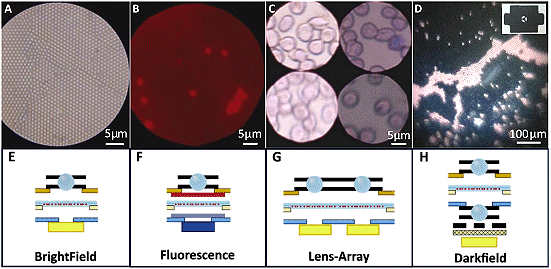 http://www.wired.com/images_blogs/wiredscience/2014/03/microbes.jpg