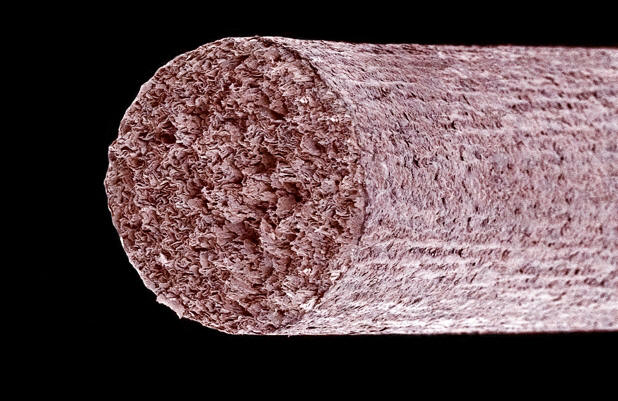 Graphite pencil core. Coloured scanning electron micrograph (SEM) of the core of a graphite pencil. This core is made up of graphite, mixed with clay and water and pressed into a rod shape. Because graphite is a soft form of carbon, the tip of the pencil disintegrates under pressure to leave marks on paper. Magnification: x25 when printed 10cm high. Photo: Susumu Nishinaga/Science Photo Library