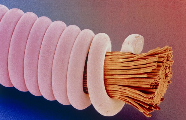 Guitar string. Coloured scanning electron micrograph (SEM) of "superwound" guitar string (piano wire design). Magnification: x60 at 6x7cm size. x148 at 8x6",x78 at 10x7cm master size. Photo: Power And Syred/Science Photo Library