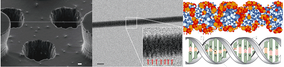 http://www.newscientist.com/data/images/ns/cms/dn22545/dn22545-2_300.jpg