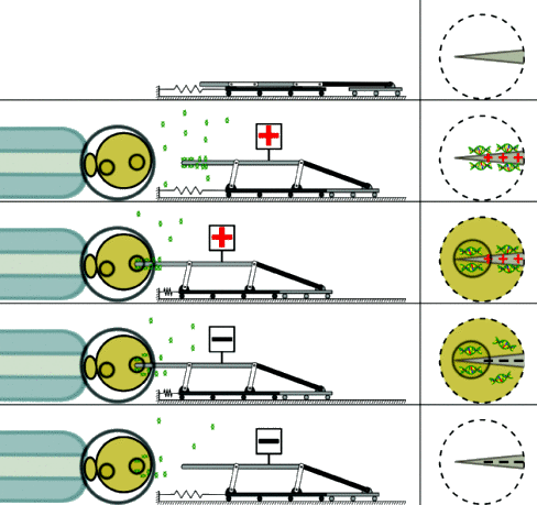 http://scitation.aip.org/docserver/fulltext/aip/journal/rsi/85/5/1.4872077.figures.online.f1.gif