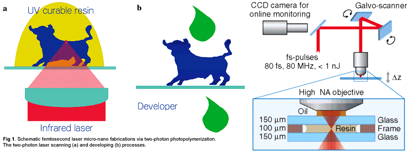 http://www.osaka-u.ac.jp/migr/img/eng/research/annualreport/vol3/selection/image/05-ph3.gif