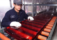 The fabrication of melted and rough-cut blanks of laser glass amplifier slabs needed for the NIF construction (3,072 pieces) was completed in 2005. The amplifier slabs are neodymium-doped phosphate glass manufactured by Hoya Corporation USA and Schott Glass Technologies for Lawrence Livermore National Laboratory.