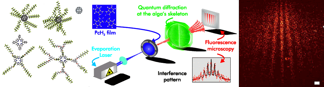 http://scienceblogs.com/principles/wp-content/blogs.dir/467/files/2012/04/i-a93e4b5c51462bf00237aaf7b7f2c1d7-large_molecules.png